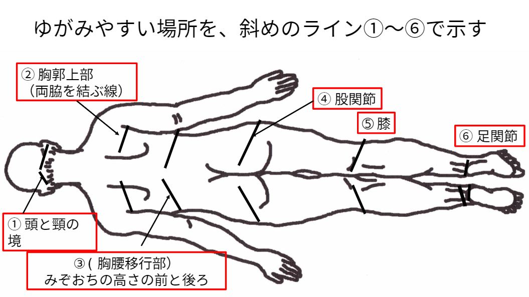 経絡総論（一般用）画像