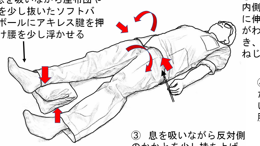 腰・股関節体操①（一般用）画像