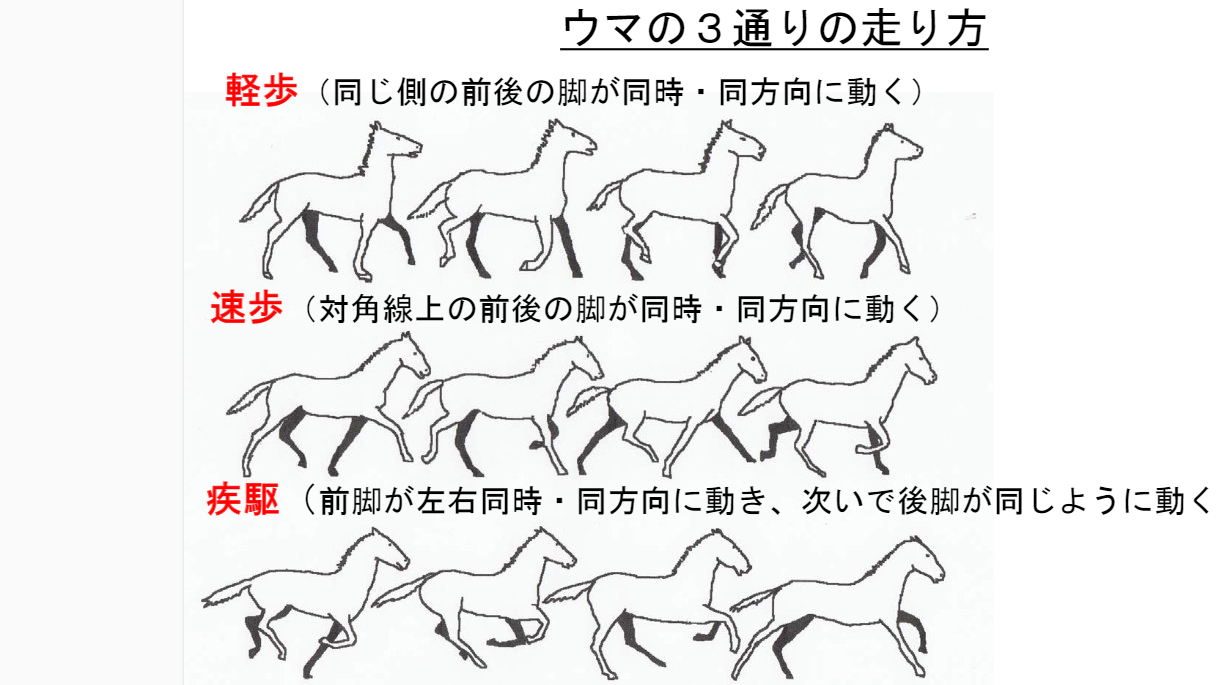 ゆがみ取り体操総論画像